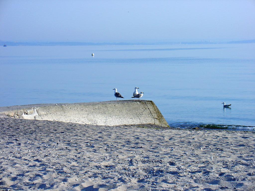 Fewo Machedanz Am Hafen Timmendorfer Strand Ot Niendorf Ngoại thất bức ảnh